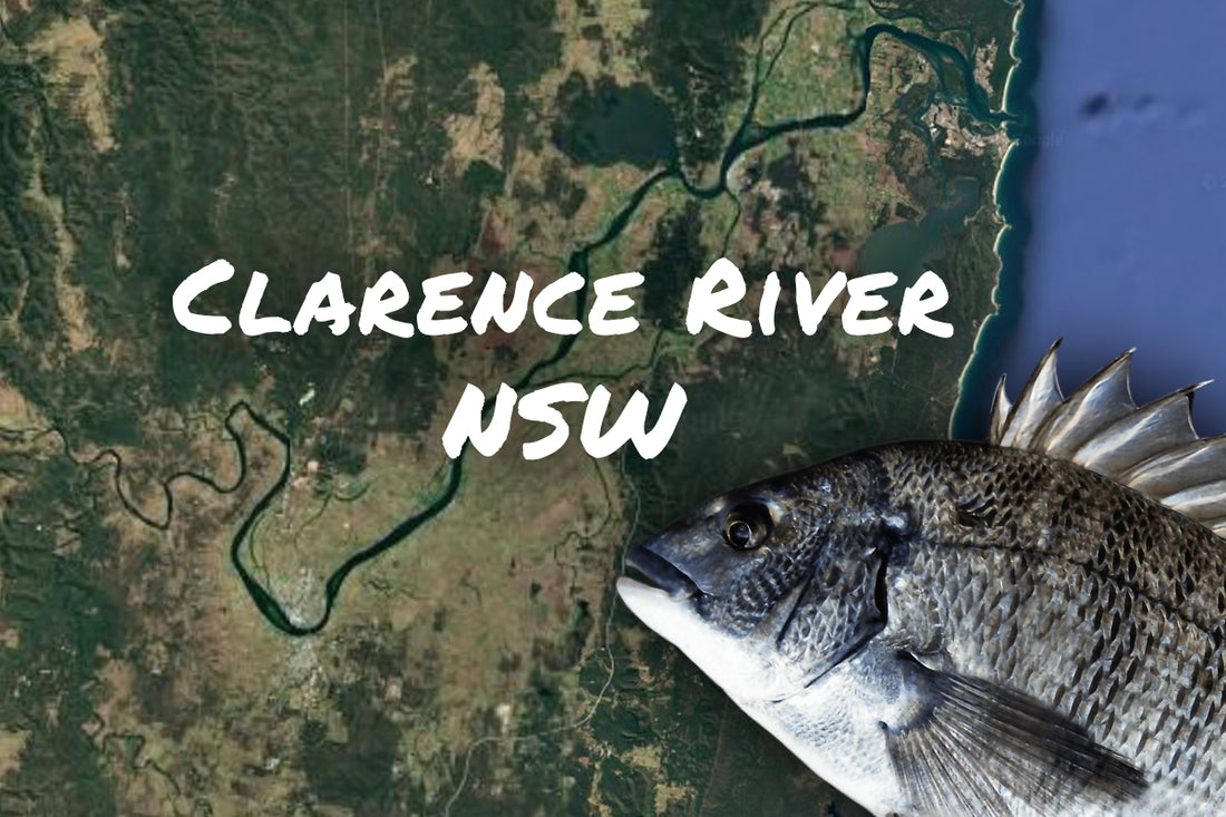 Clarence River Bream Fishing