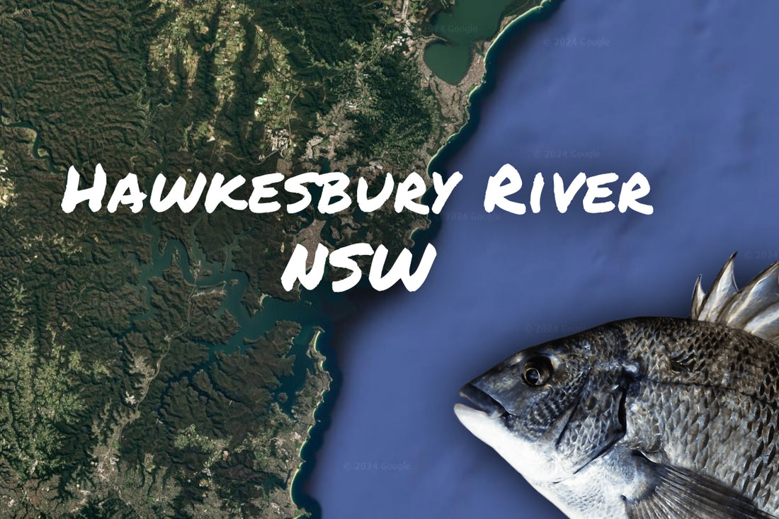 Bream Fishing Hawkesbury River