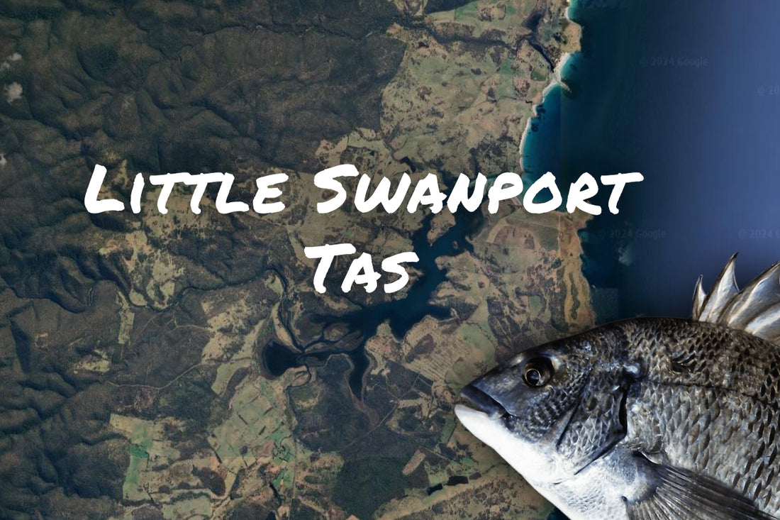 Little Swanport Bream Fishing