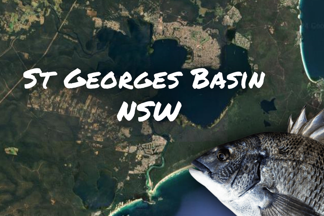 St Georges Basin Bream Fishing