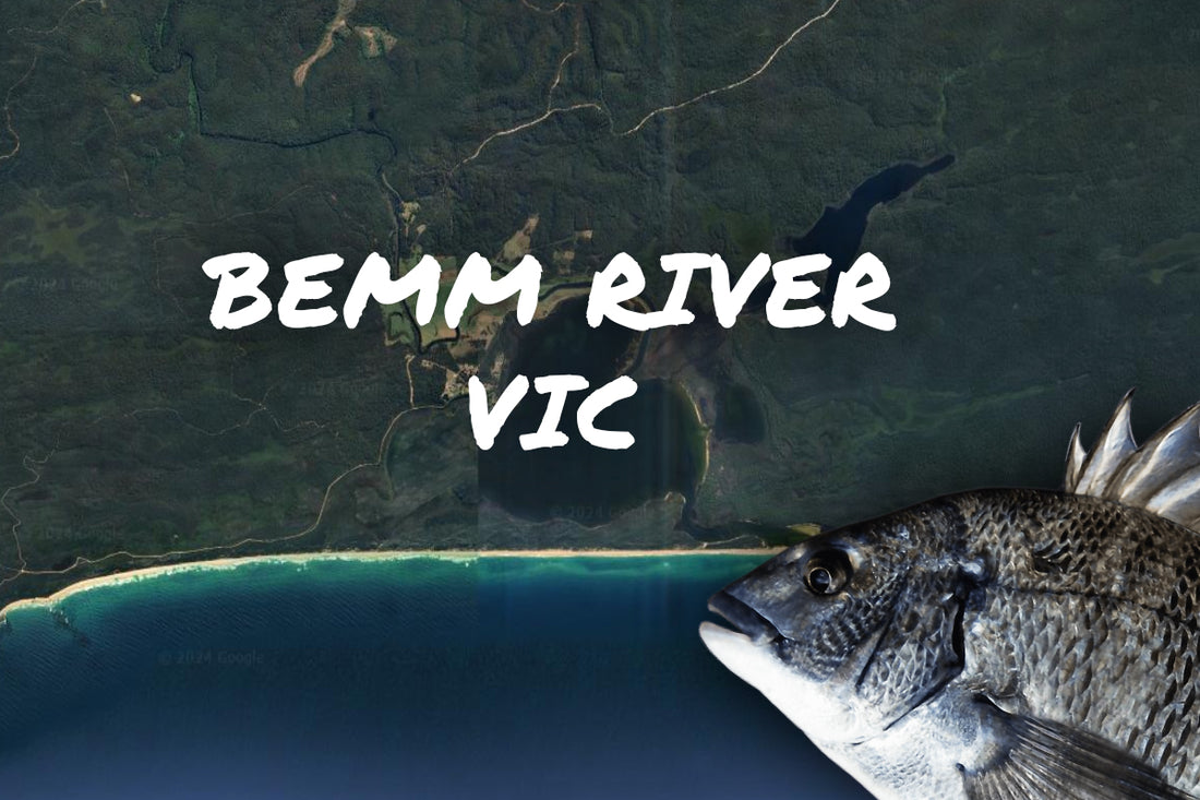 Bemm River Bream Fishing