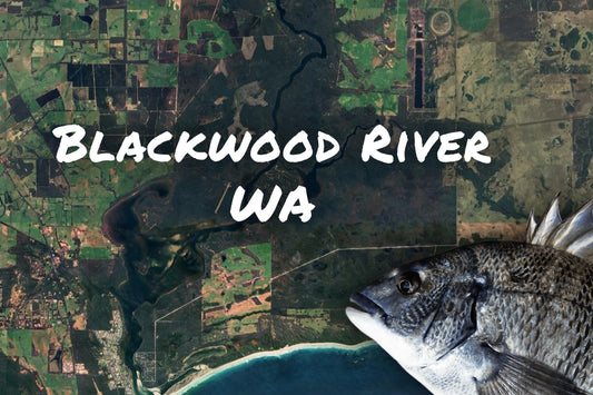 Blackwood River Bream Fishing