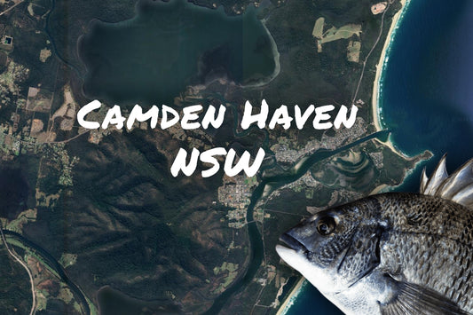 Camden Haven Bream Fishing