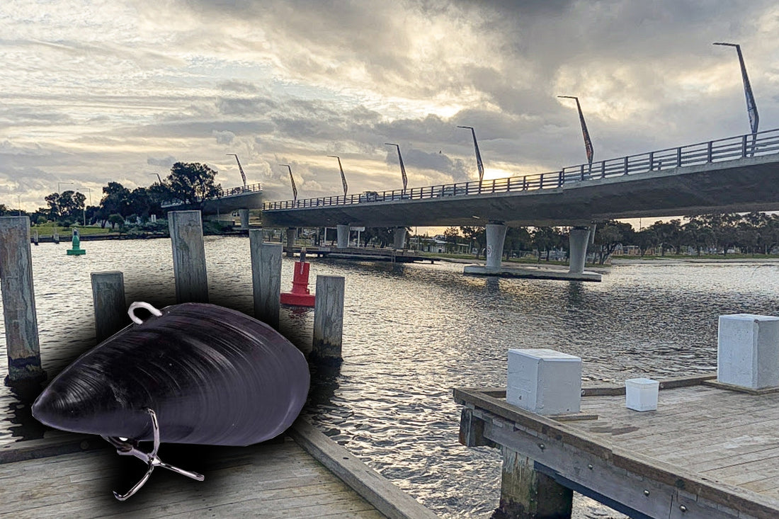 Pylon Fishing With Mussel vibes For Bream