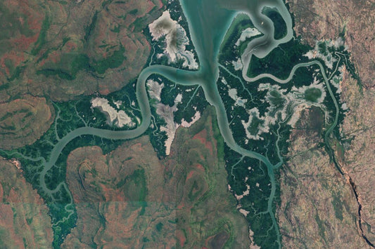 Mangroves & Crab Lures For Bream