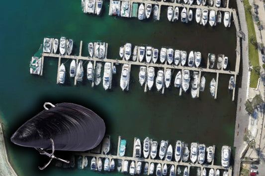 Marina Fishing With Mussels For Bream