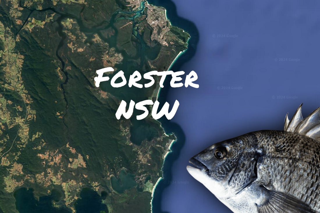 Forster Nsw Bream Fishing