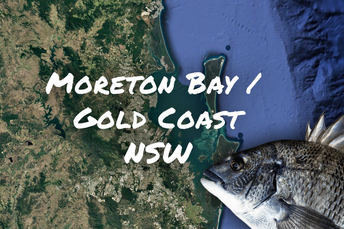 Moreton Bay / Gold Coast Bream Fishing