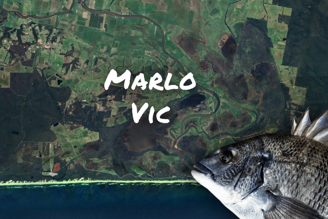 Marlo Bream Fishing Victoria