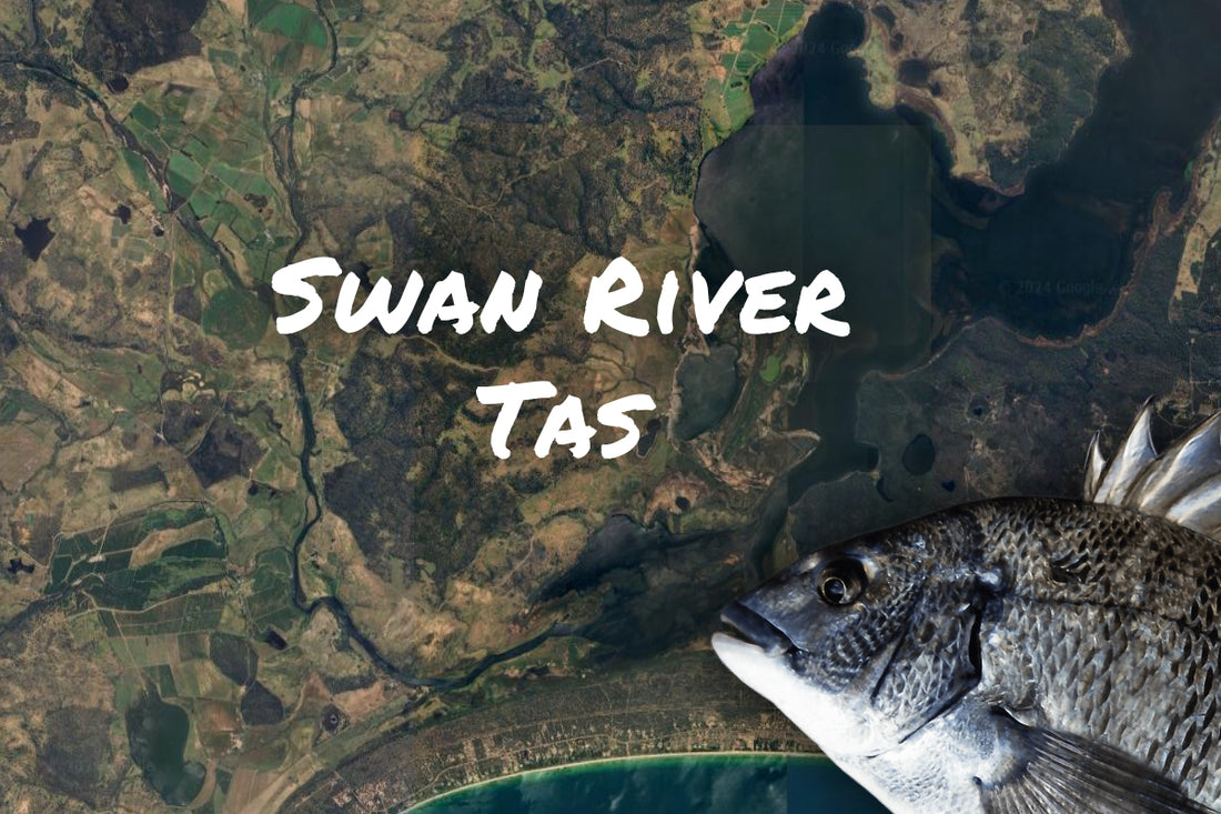 Swan River Tasmania Bream fishing