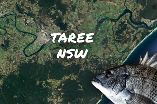 Bream Fishing Taree Nsw