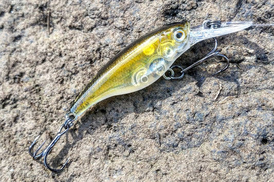 The Art Of Fishing Hard Bodies For Big Bream