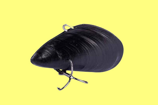 The Rise Of The Mussel Vibes