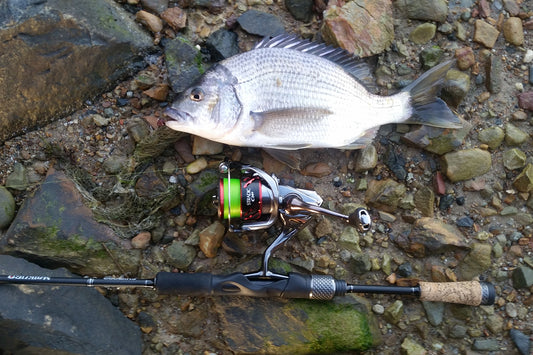 What Is The Best Length Leader For Bream?