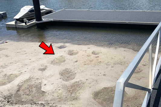 Why Bream Love Structure