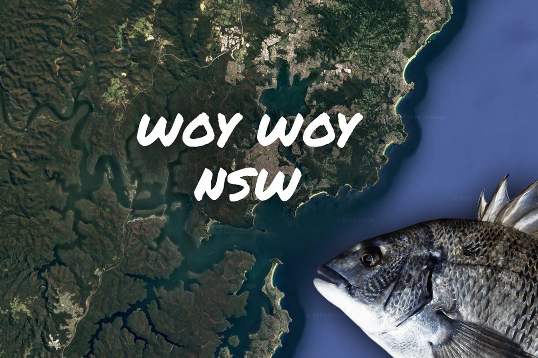 Woy Woy Bream Fishing