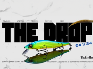 THE DROP: It All Starts Now