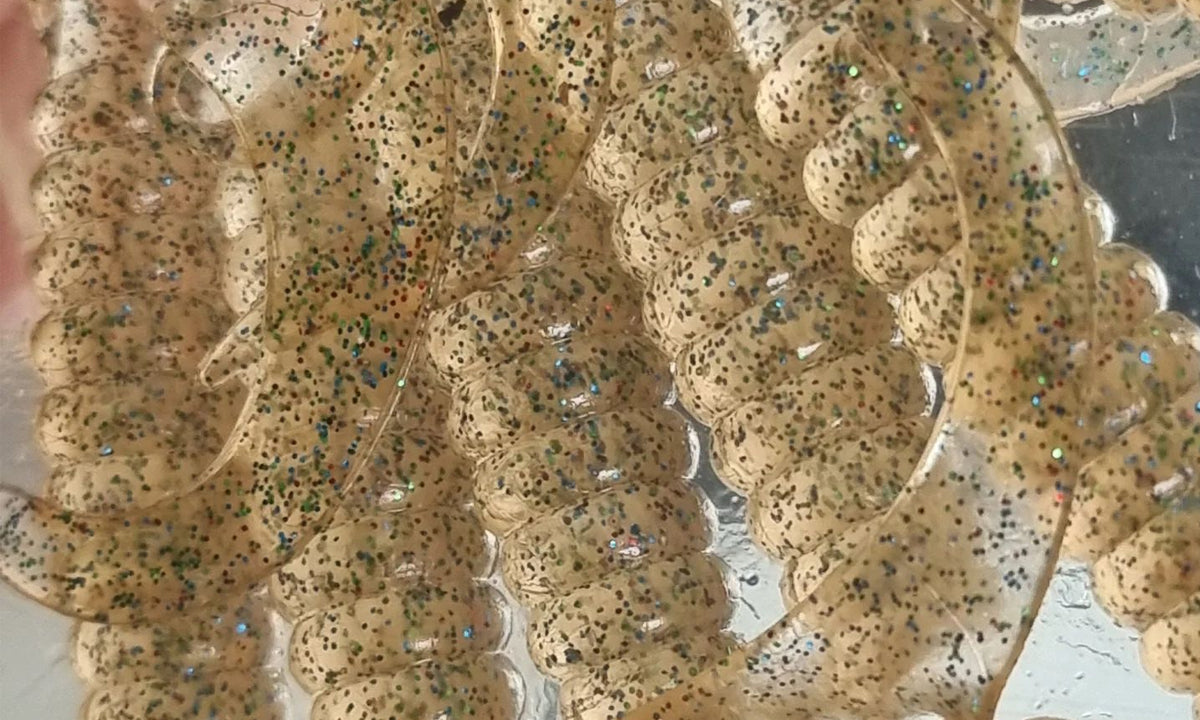 The Best Colour Grub For Bream Fishing