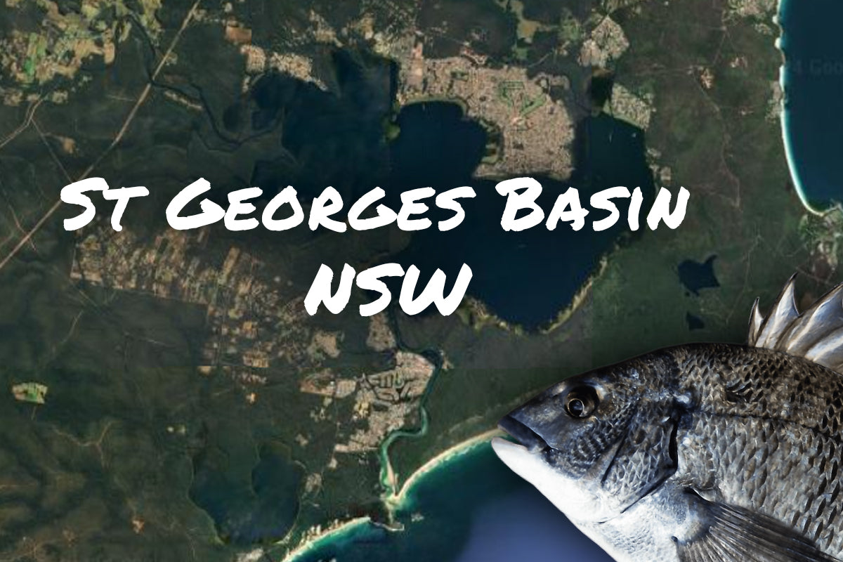 St Georges Basin Bream Fishing