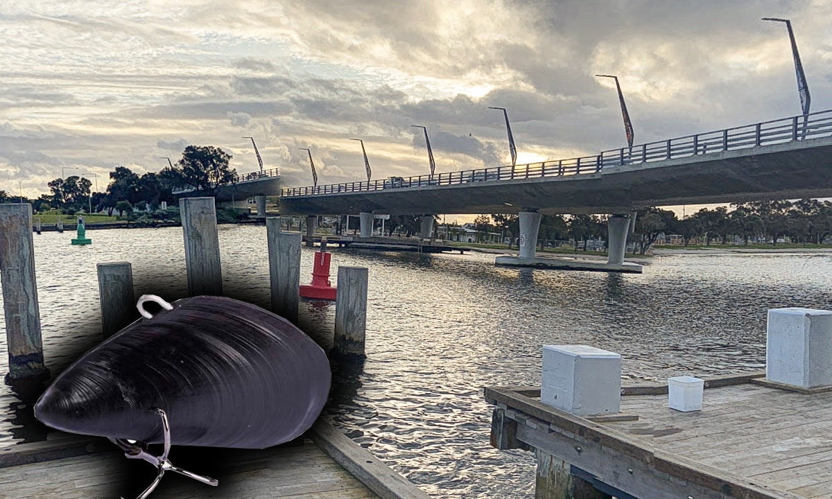 Pylon Fishing With Mussel vibes For Bream