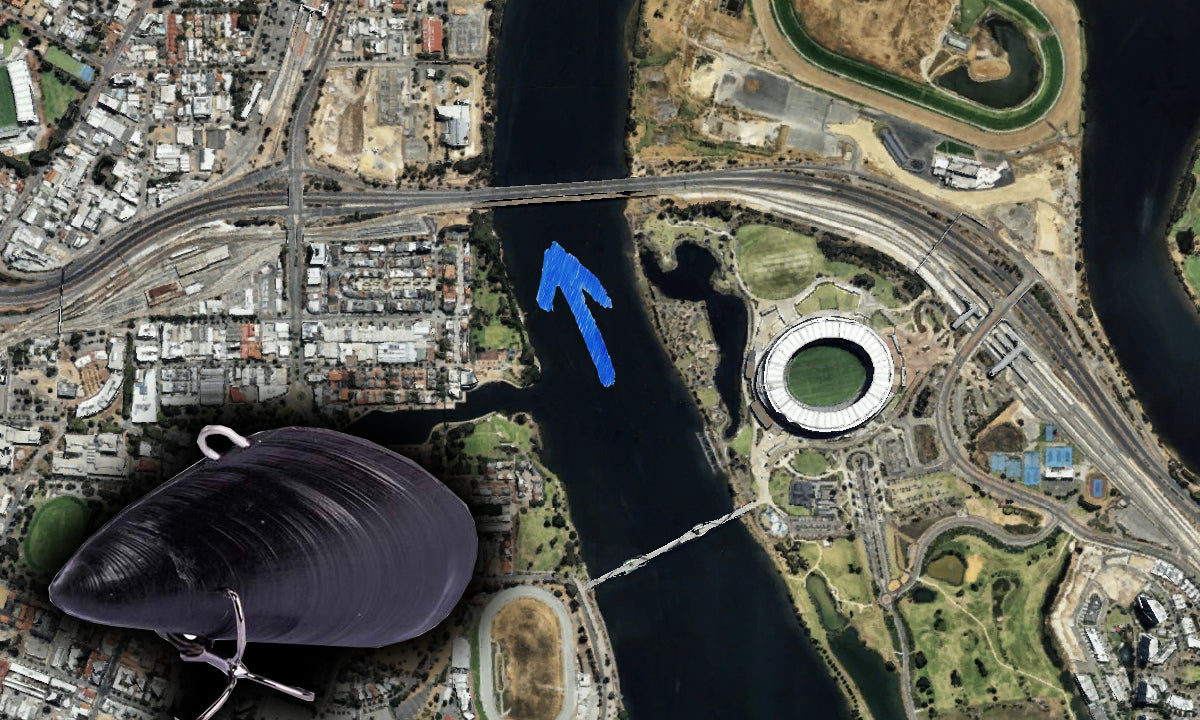 Fishing Bridges For Bream With Mussel Vibes