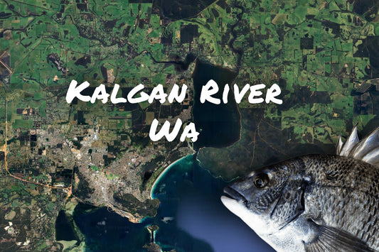 Kalgan River Bream Fishing Wa