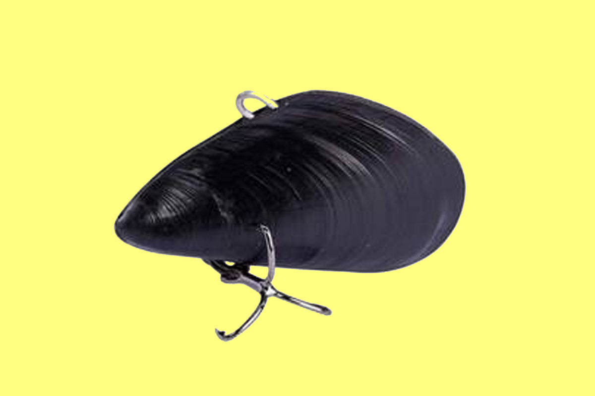 The Rise Of The Mussel Vibes