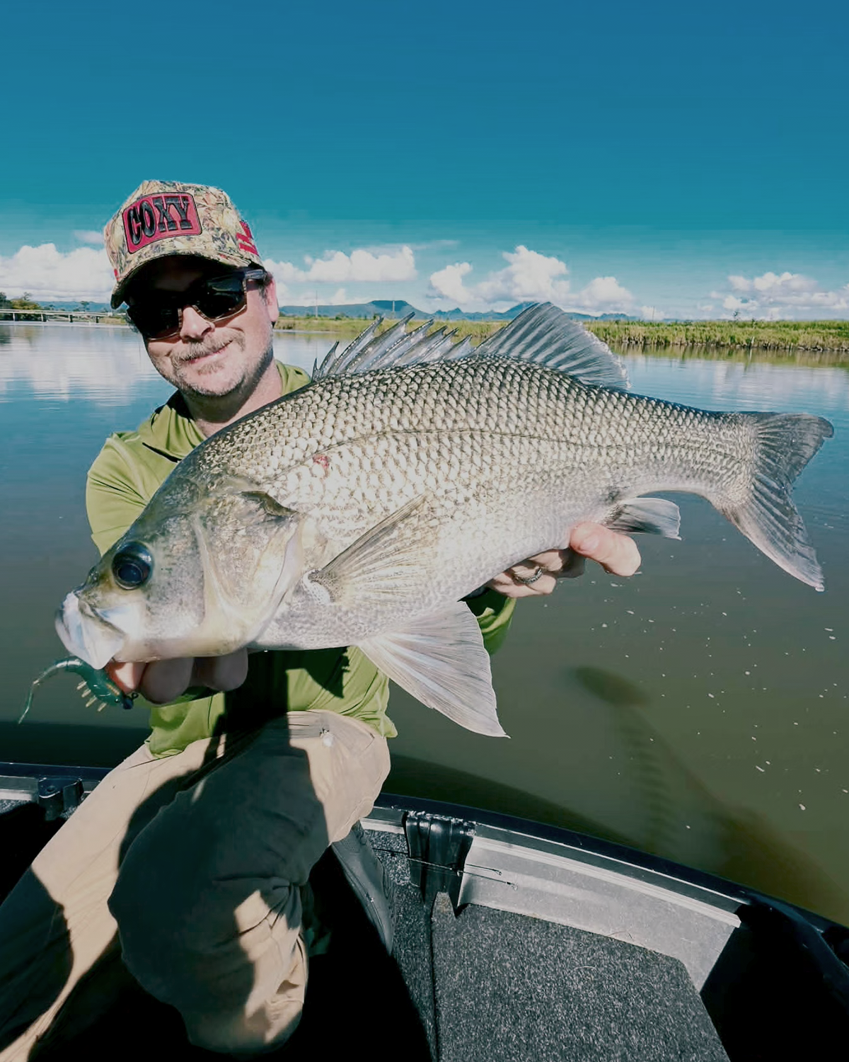 SOFT LURES