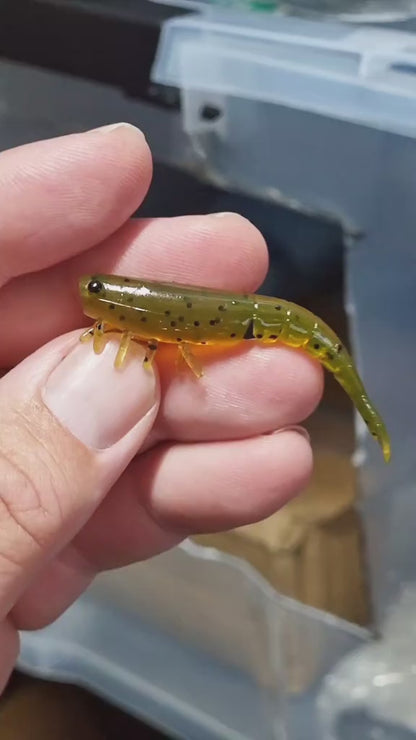 Prawn 60mm (2.36")